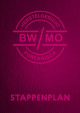 Basisdocument 'het stappenplan' BW/MO