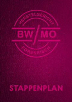 Basisdocument 'het stappenplan' BW/MO